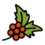 Ripe coffee cherries on the branch – fresh red coffee fruit ready for harvesting